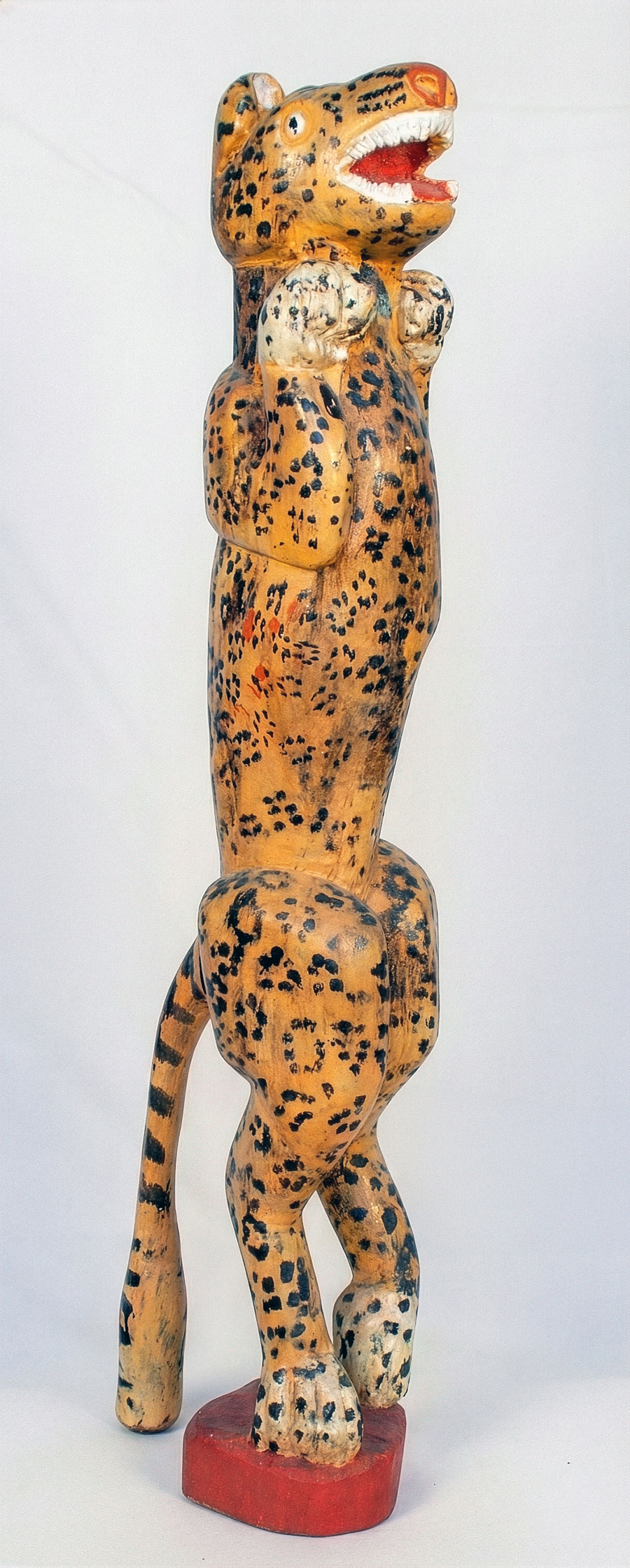 Phutuma Seoka – Leopard