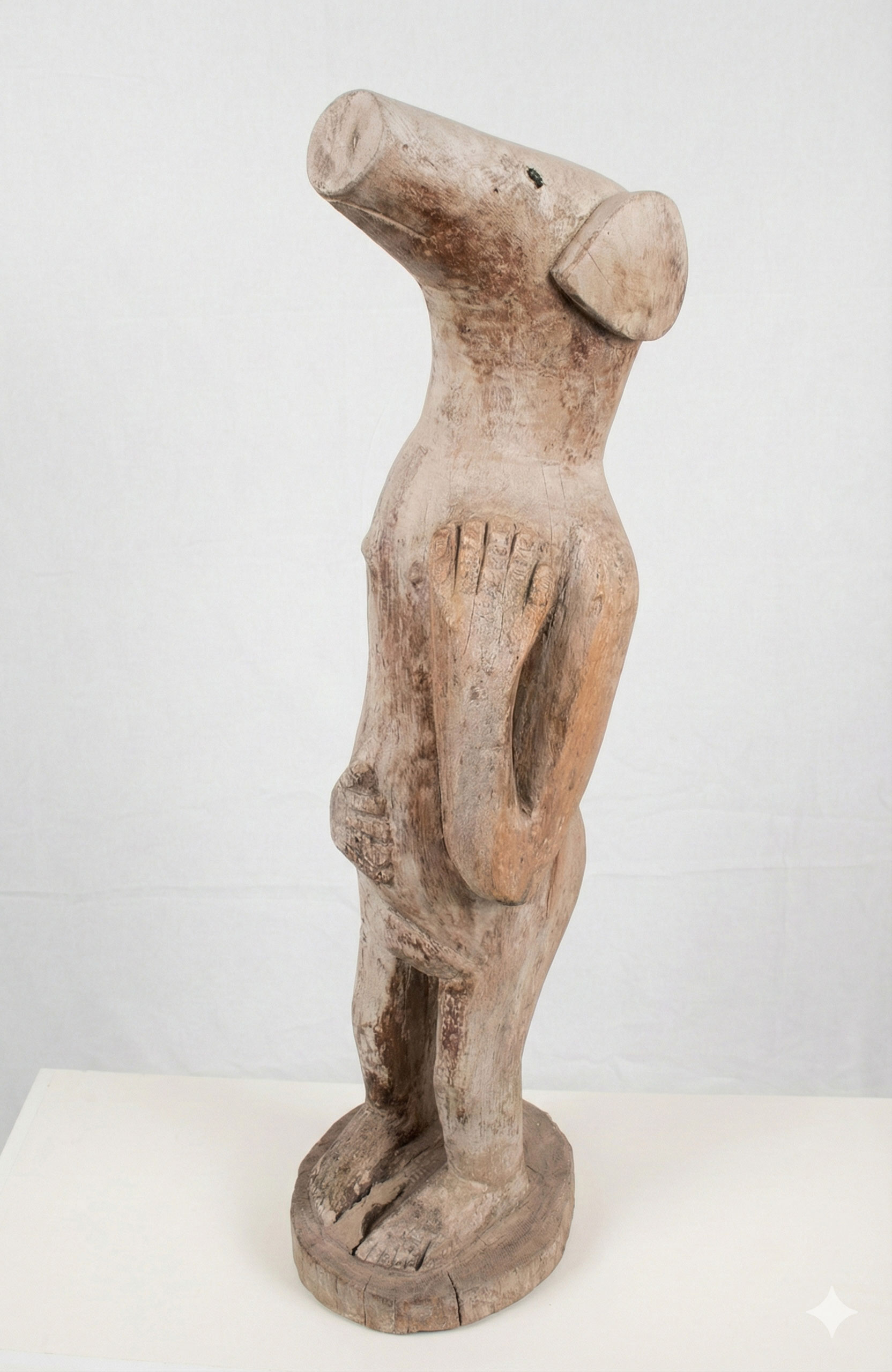 Albert Chauke – Pig Lady