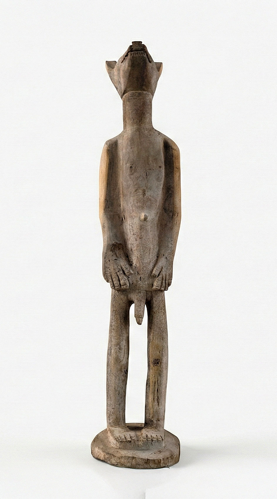 Albert Chauke – Dog Man