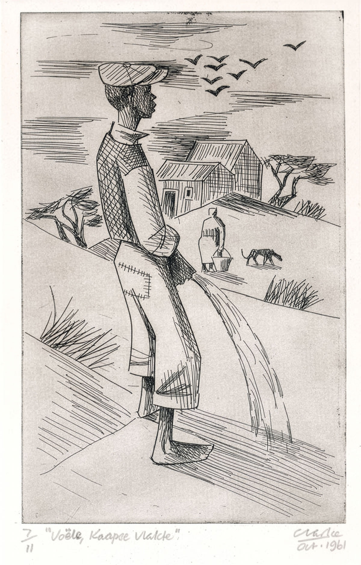 Peter Clarke – Voële, Kaapse vlakte (1961)