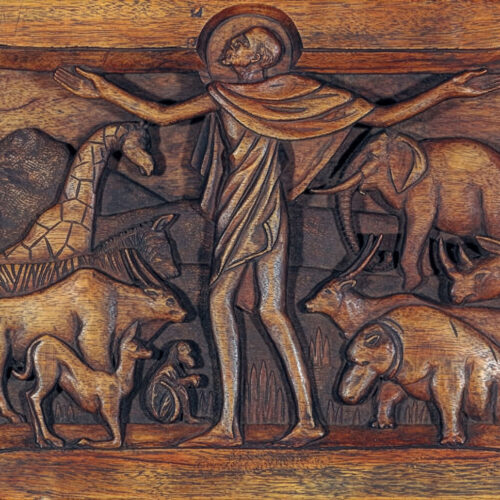 Job Kekana – St. Francis of Assisi