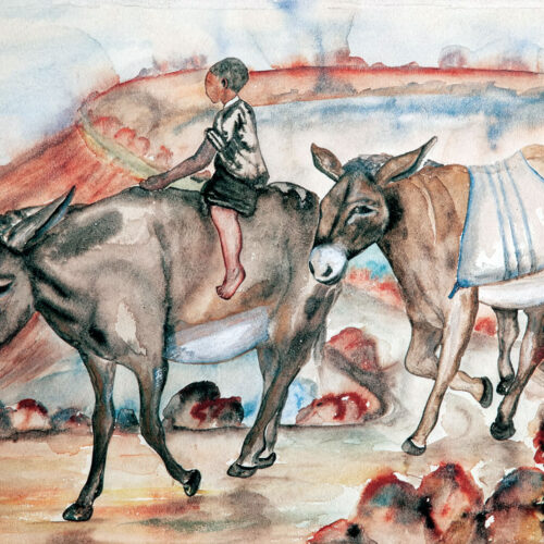 David Mogano – Child and donkeys (1960)