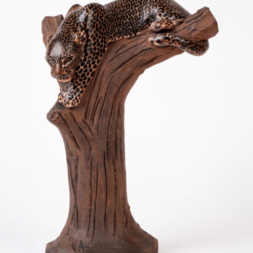 Hezekiel Ntuli – Leopard in tree